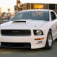 45-years-of-mustang-30.jpg