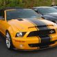 45-years-of-mustang-35.jpg