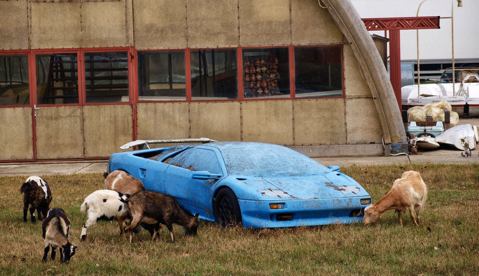 Abandoned Supercars and Racecars