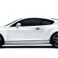 bentley-continental-supersports-1.jpg