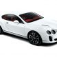 bentley-continental-supersports-3.jpg