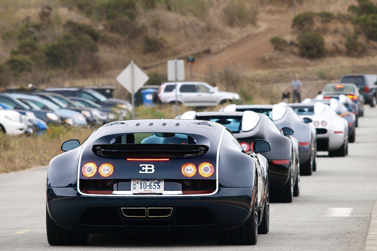 bugatti-veyron-meeting-at-san-francisco-8.jpg
