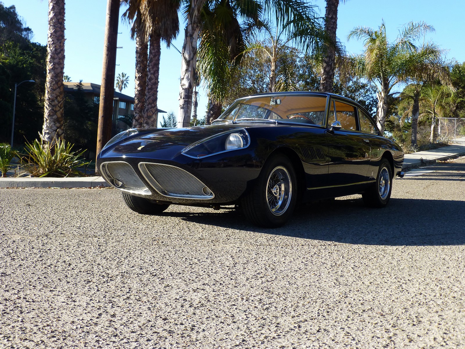 Ferrari-330-GT-Shark-Nose-1965-1.jpg
