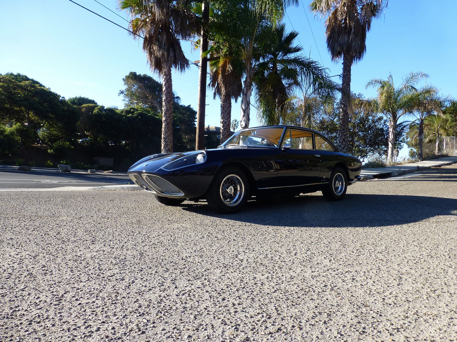 Ferrari-330-GT-Shark-Nose-1965-6.jpg