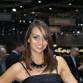 Geneva 2010 Babes Mega Gallery 2