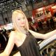 Geneva 2010 Babes Mega Gallery 2