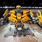 bumblebee-1.jpg