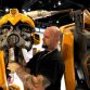 bumblebee-3.jpg