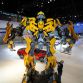 bumblebee.jpg