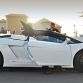 lamborghini-gallardo-lp560-4-spyder-in-tenerife-40.jpg