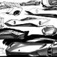 lamborghini-miura-nuovo-design-study-24