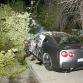 nissan-gtr-crash-tree4.jpg