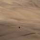d27_21639499