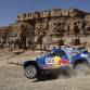 MOTORSPORT / DAKAR 2010