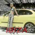 Seat ibiza Babes