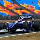 turkish-formula-one-grand-prix-2009-saturday-5.jpg
