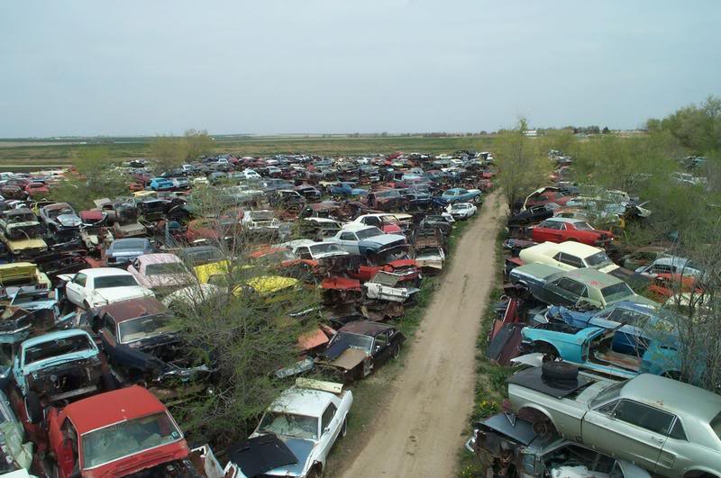 Ford junk mustang yard