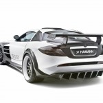 hamann-volcano_1