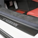 hamann-volcano_24