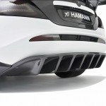 hamann-volcano_31