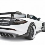 hamann-volcano_5