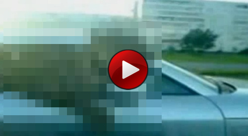 video leopard