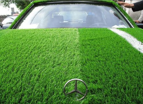 grass-cars grass-cars