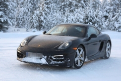 Porsche Boxster GTS and Cayman GTS spy photos