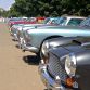 img_4949-custom