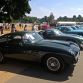 img_4951-custom
