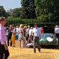 img_5065-custom