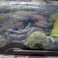 19 Childs in Renault Clio at South Africa