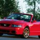 SVT Mustang Cobra 10th Anniversary Edition