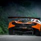 2014 McLaren 650S GT3