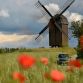 P90155073-highRes