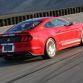 2015 Shelby GT 3