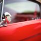 2016-revology-mustang-is-the-all-american-equivalent-of-the-singer-911-video-photo-gallery_12