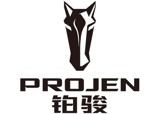 China_Projen_Ford_F150_Raptor_05