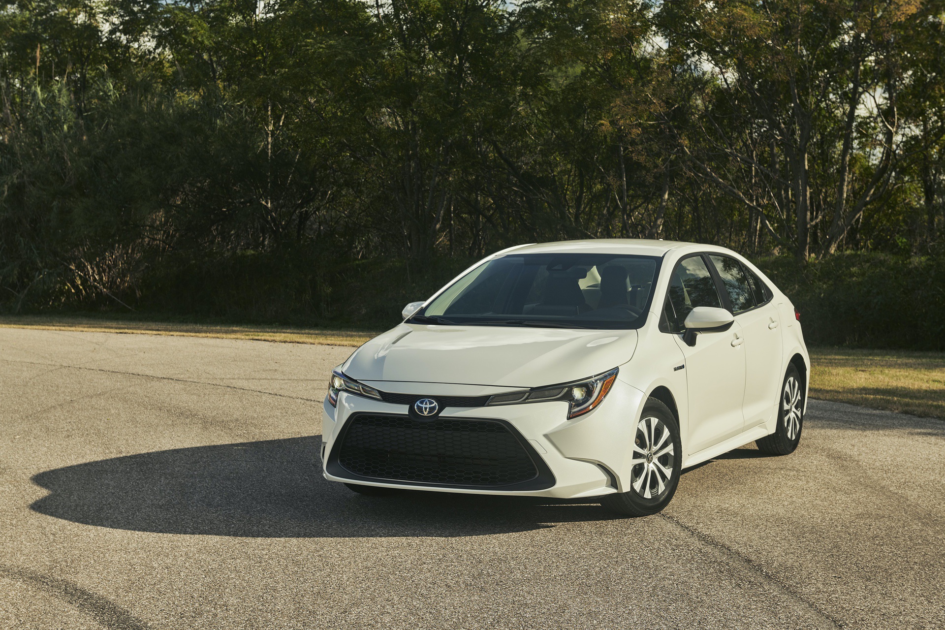 2019_Toyota_Corolla_Hybrid_0013