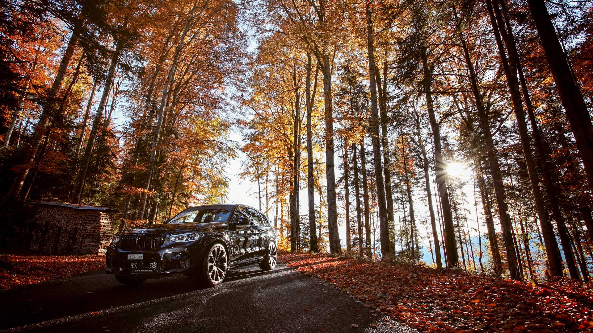 BMW_X3_M_and_X4_M_by_Dahler_0028