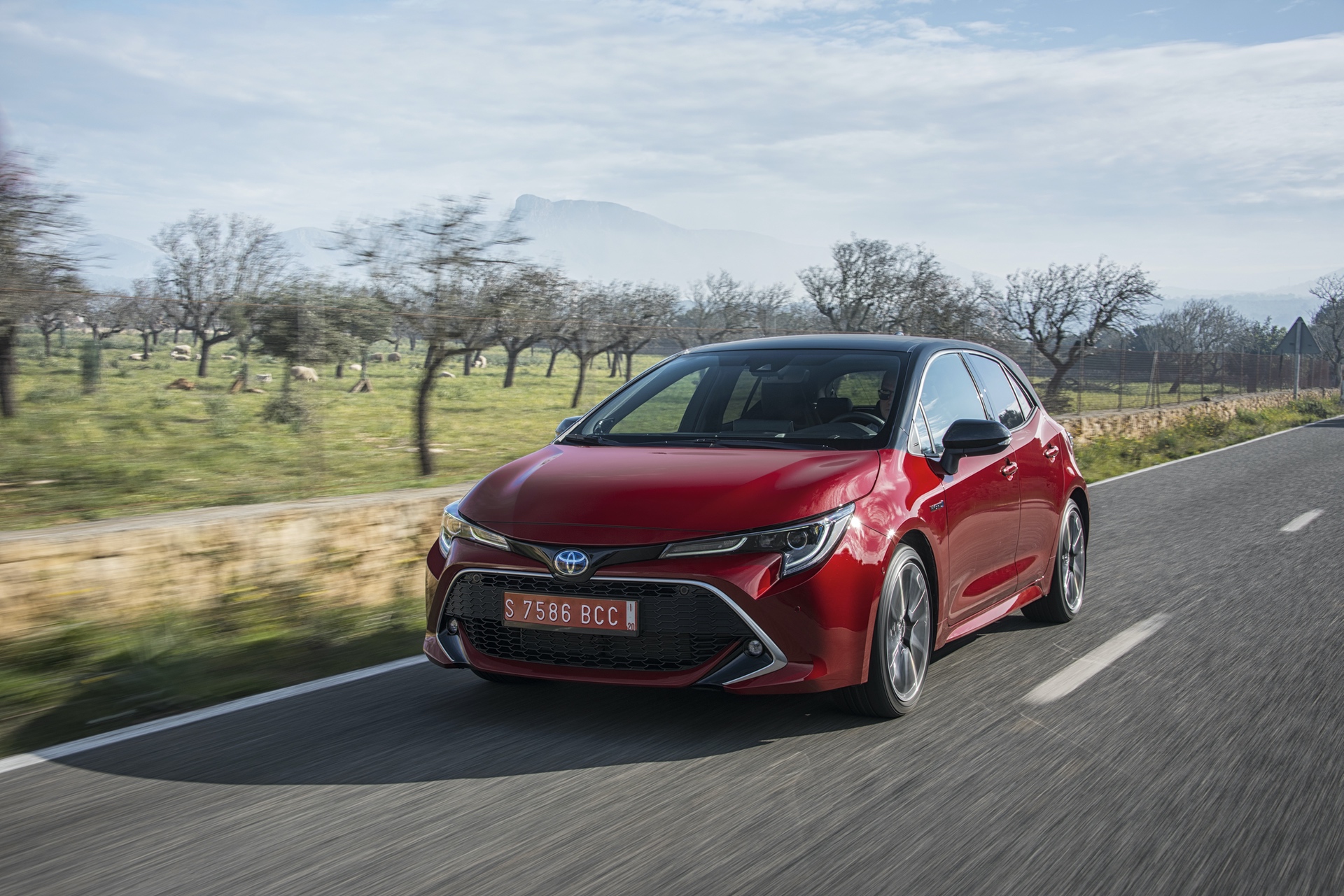 Corolla_HB_2.0L_Red_Bitone_2019_018
