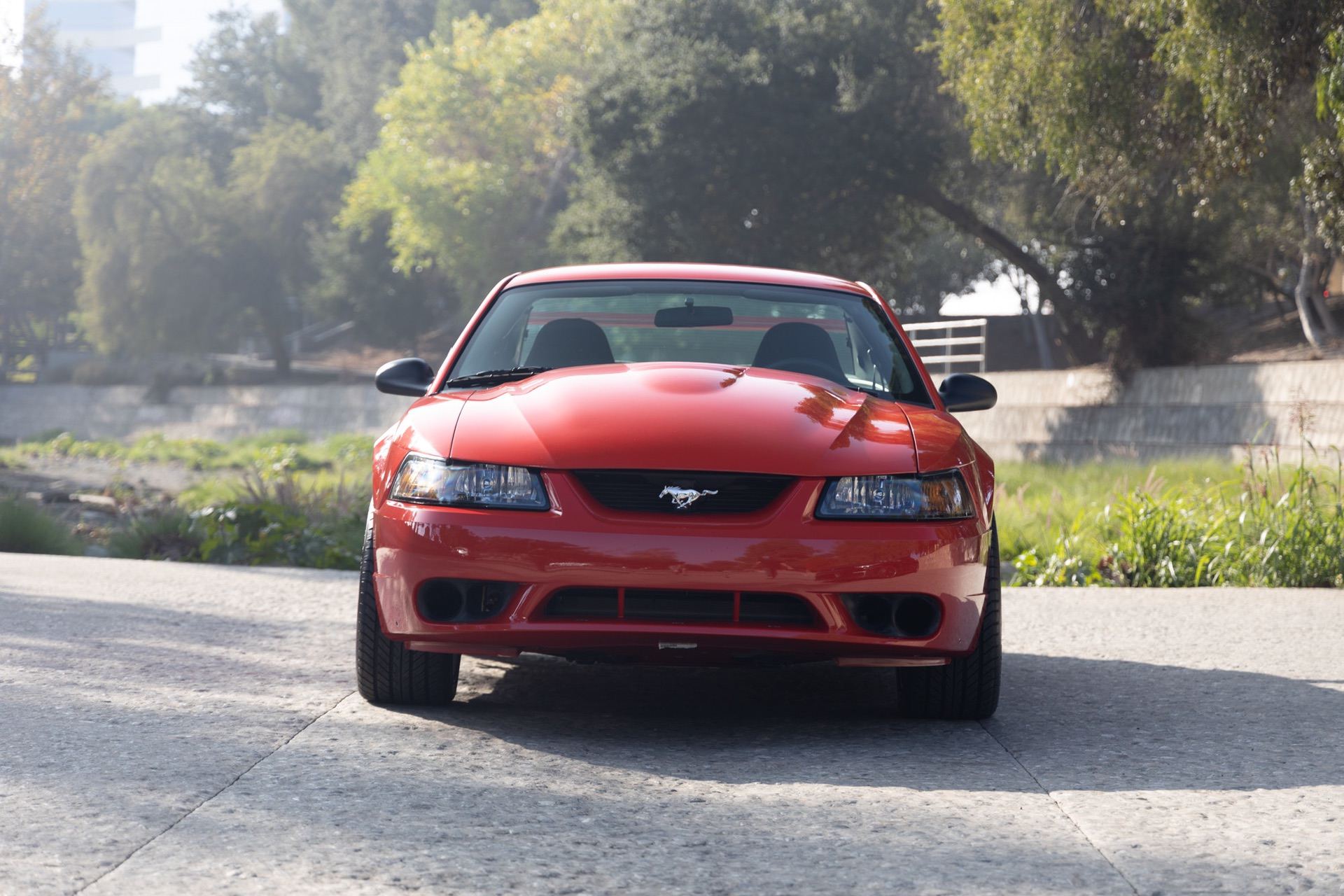 2000_Ford_Mustang_SVT_Cobra_R_sale-0000