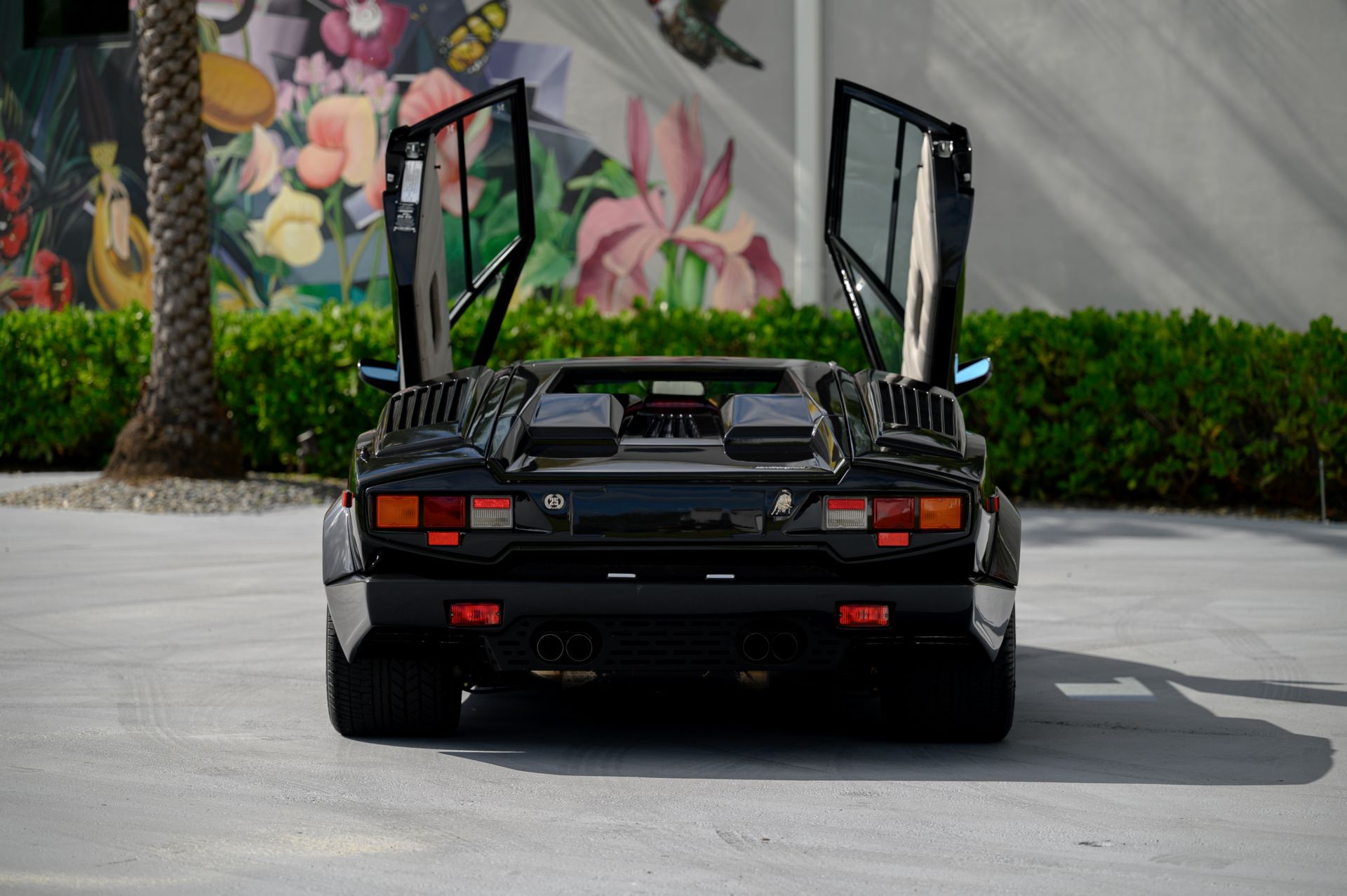 Lamborghini-Countach-25th-Anniversary-Edition-auction-31