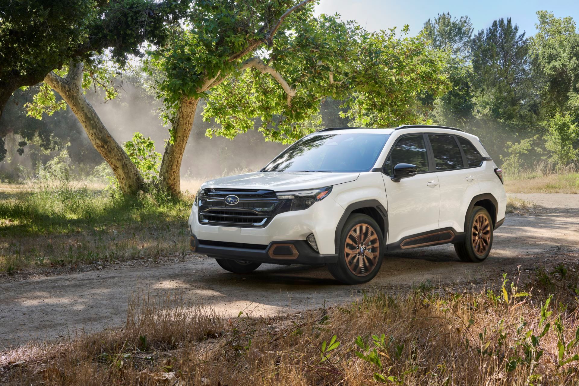 25MY_Forester_Sport_-_in_motion_4