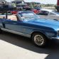 40 stunning cars discovered in ultimate Canadian barn find