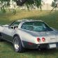 1978 Chevrolet Corvette Silver Anniversary Edition