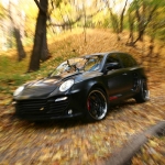 9ff-cayenne-29.jpg