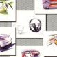 Alfa_Romeo_Bella_concept_17
