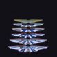 AML_Wings_066