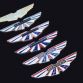 AML_Wings_067
